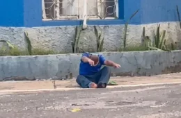 Ataque de abelhas deixa três feridos e para o trânsito em Tucuruí