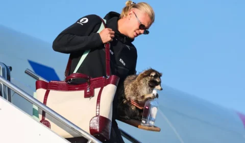 Haaland chega à Noruega com guaxinim empalhado após Copa do Mundo 2026