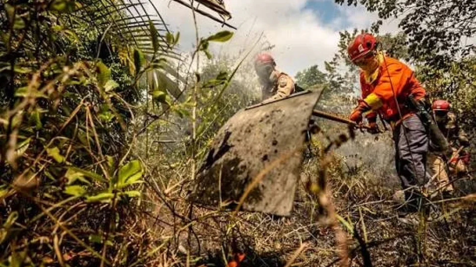 Com 115 focos de calor, Pará é o 5º estado no ranking nacional de incêndios florestais