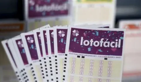 Lotofácil 3742 premia mais de R$ 800 mil para duas apostas; confira resultado