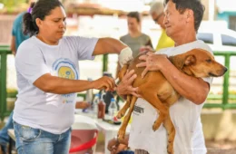 É hora de proteger seu pet: campanha antirrábica começa neste sábado (1) em Boa Vista