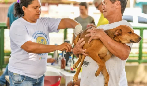 É hora de proteger seu pet: campanha antirrábica começa neste sábado (1) em Boa Vista