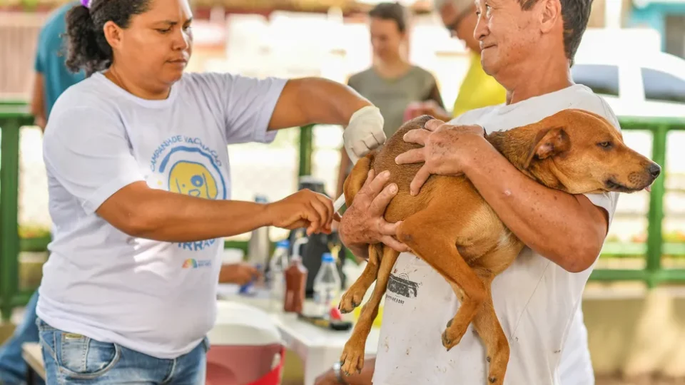 É hora de proteger seu pet: campanha antirrábica começa neste sábado (1) em Boa Vista
