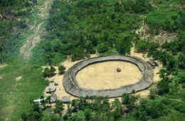 Ataque a tiros deixa três indígenas feridos na Terra Yanomami