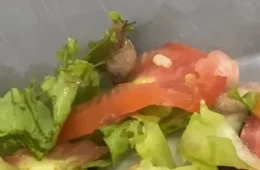 Caramujo é encontrado dentro de prato de salada no restaurante universitário da UFRA