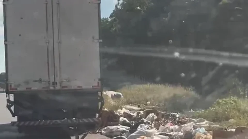 VEJA VÍDEO: caminhão é visto jogando lixo na avenida Margarita, no bairro Cidade de Deus