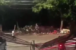 Confronto entre torcidas organizadas provoca tumulto e correria no Barreiro