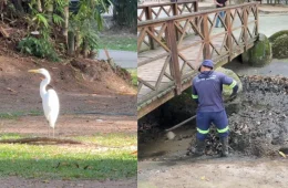 Lago da Praça Batista Campos é esvaziado após invasão de garças e morte de peixes