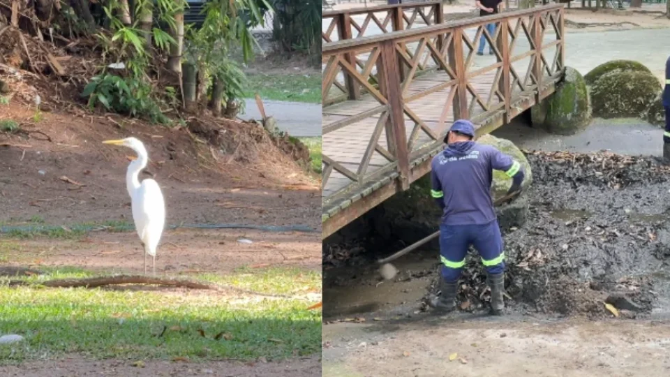 Lago da Praça Batista Campos é esvaziado após invasão de garças e morte de peixes