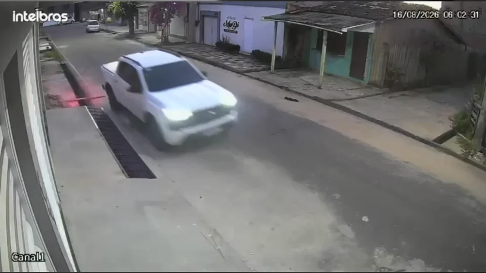 Caminhonete atropela cachorro e foge sem prestar socorro em Abaetetuba, no PA
