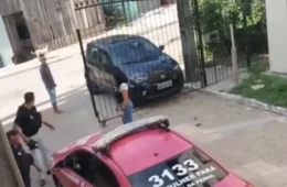 Viatura da Polícia Civil atropela gata grávida e policial ameaça testemunha em Belém