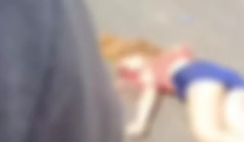 Acidente grave entre moto e carreta deixa jovem morta na BR-316, em Ananindeua