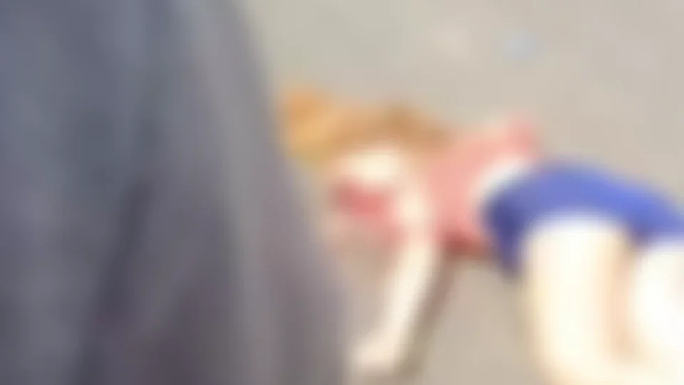 Acidente grave entre moto e carreta deixa jovem morta na BR-316, em Ananindeua