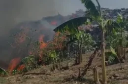 Incêndio de grandes proporções atinge lixão de Manacapuru e fogo avança para áreas de mata e plantações