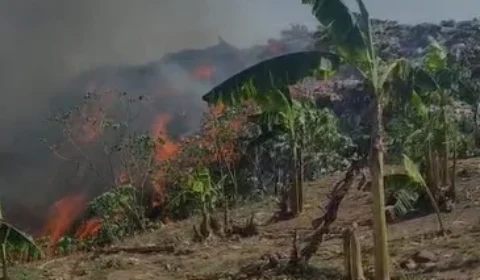 Incêndio de grandes proporções atinge lixão de Manacapuru e fogo avança para áreas de mata e plantações