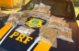 FLAGRANTE NA BR-364: PRF apreende mais de 8 quilos de drogas e prende trio em Porto Velho