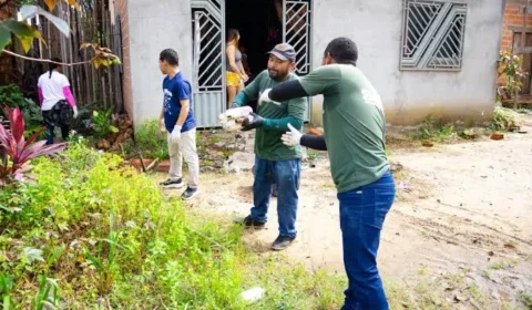 Prefeitura instala armadilhas para monitorar mosquito da dengue em Boa Vista