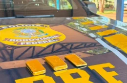 OURO ESCONDIDO: Homem é preso com barras avaliadas em mais de R$ 800 mil na BR-425