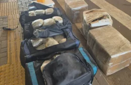 VEJA: Mais de 217 quilos de drogas escondidos em caminhão na BR-364, em Vilhena