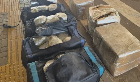 VEJA: Mais de 217 quilos de drogas escondidos em caminhão na BR-364, em Vilhena
