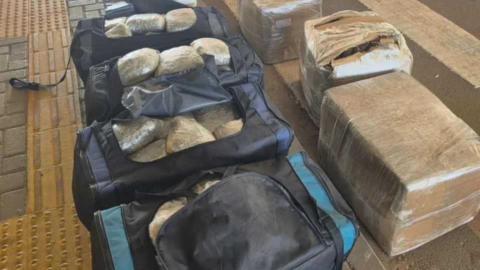 VEJA: Mais de 217 quilos de drogas escondidos em caminhão na BR-364, em Vilhena