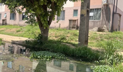 Moradores do Orgulho do Madeira cobram melhorias e denunciam abandono na infraestrutura
