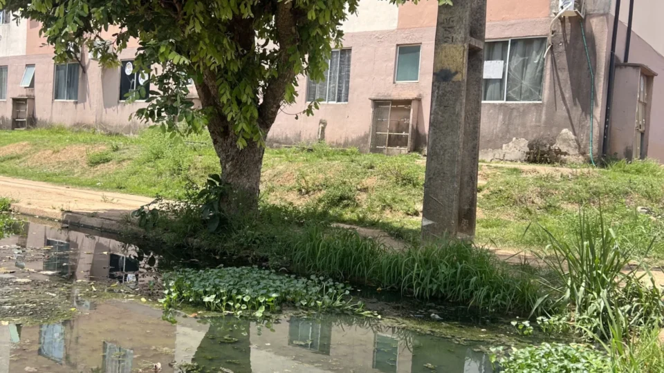 Moradores do Orgulho do Madeira cobram melhorias e denunciam abandono na infraestrutura