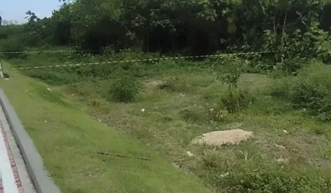 Invasão irregular repercute na internet em área do Utinga, em Belém