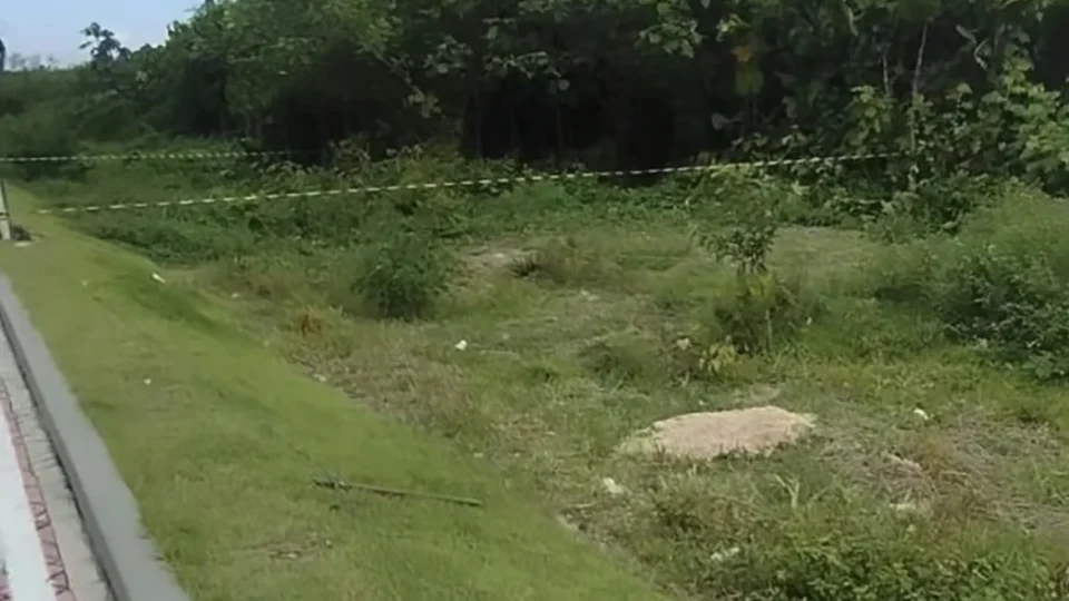 Invasão irregular repercute na internet em área do Utinga, em Belém