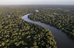 Eneva lança Mapa do Hidrogênio de Baixo Carbono do Amazonas e apresenta oportunidades para a transição energética no estado
