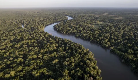 Eneva lança Mapa do Hidrogênio de Baixo Carbono do Amazonas