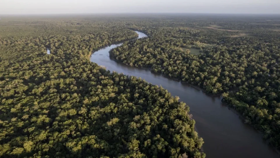 Eneva lança Mapa do Hidrogênio de Baixo Carbono do Amazonas e apresenta oportunidades para a transição energética no estado