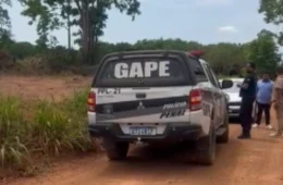 Polícia Penal faz buscas por apenado foragido durante cobertura de ataque de onça