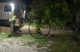 VEJA VÍDEO: Onça é flagrada tentando atacar cachorro em sítio no Rio Preto da Eva