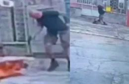 VÍDEO: Homem saca arma e mata cachorro com quatro tiros em rua na Tijuca, no Rio de Janeiro
