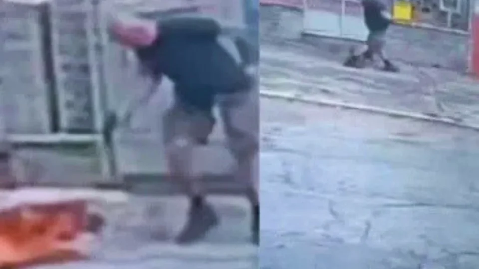 VÍDEO: Homem saca arma e mata cachorro com quatro tiros em rua na Tijuca, no Rio de Janeiro