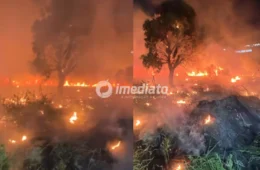 VEJA VÍDEOS: Incêndio atinge área de vegetação e assusta moradores na Avenida das Torres, em Manaus