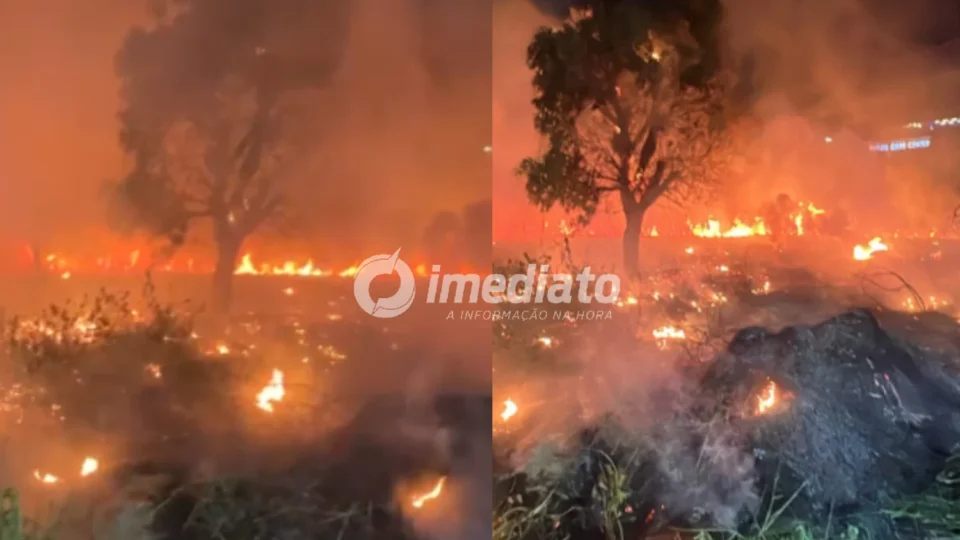 VEJA VÍDEOS: Incêndio atinge área de vegetação e assusta moradores na Avenida das Torres, em Manaus
