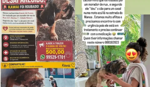 Família pede ajuda para encontrar Shih Tzu levado de residência no Nova Cidade, em Manaus
