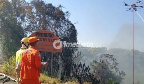 Exclusivo: veja fotos do incêndio que atingiu área de mata no Distrito Industrial