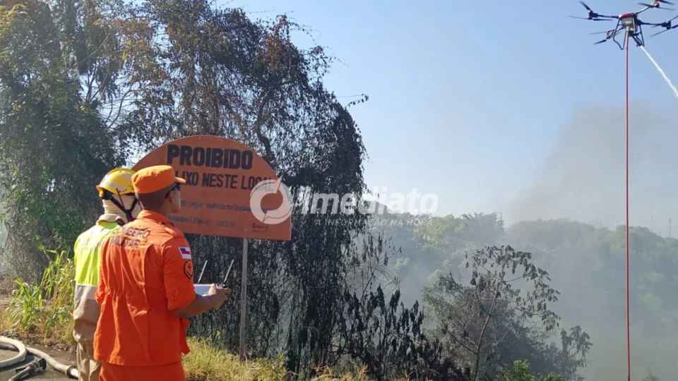 Exclusivo: veja fotos do incêndio que atingiu área de mata no Distrito Industrial