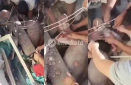 Emocionante: Mãe e bebê de 6 meses são resgatadas vivas dos escombros após terremoto na Colômbia