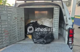 Homem é preso e mais de 300 quilos de skunk são encontrados enterrados em área de mata no Monte Horebe