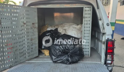 Homem é preso e mais de 300 quilos de skunk são encontrados enterrados em área de mata no Monte Horebe