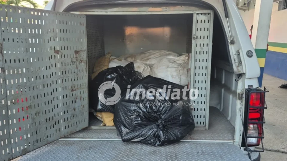 Homem é preso e mais de 300 quilos de skunk são encontrados enterrados em área de mata no Monte Horebe