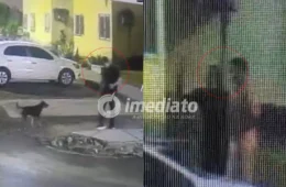 VEJA VÍDEO: Homem é denunciado por maus-tratos a animais e ofensas contra criança autista em Manaus
