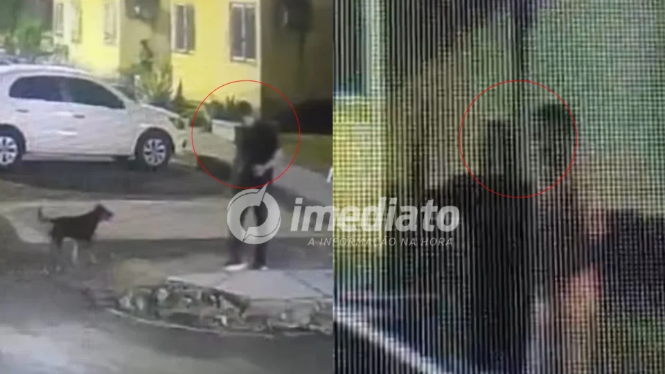 VEJA VÍDEO: Homem é denunciado por maus-tratos a animais e ofensas contra criança autista em Manaus