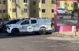 Polícia apreende simulacro de arma após denúncia de maus-tratos a cachorro e ameaça contra família em Manaus