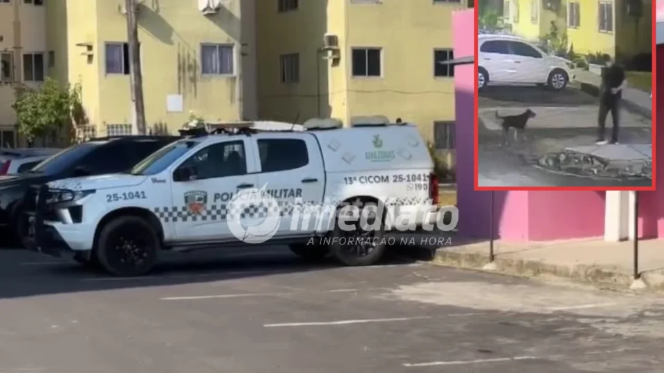 Polícia apreende simulacro de arma após denúncia de maus-tratos a cachorro e ameaça contra família em Manaus