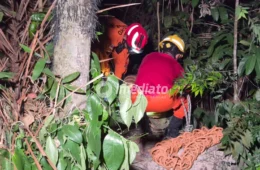 Homem é executado a tiros e corpo é encontrado em área de mata no bairro Colônia Terra Nova